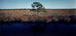 Image description is not available for 1990.001